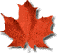 maple leaf