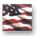 Stars and Stripes