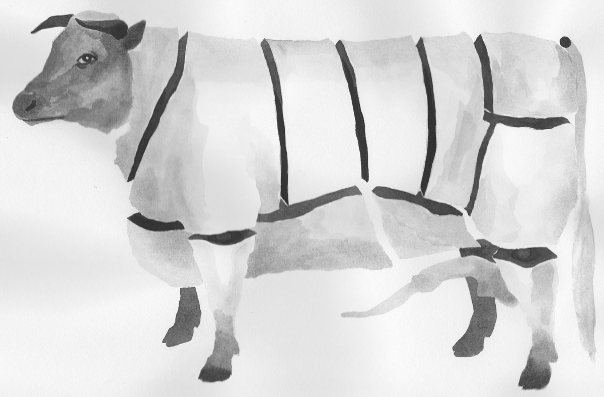 Cow A La Carte, Chris Lloyd