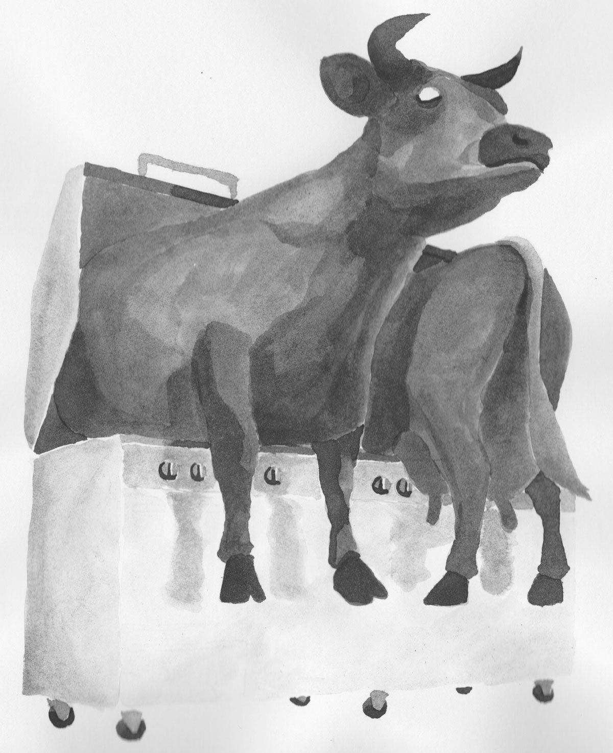 Double Cow B Q, Chris Lloyd